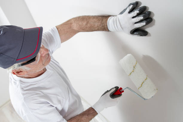 Best Crawl Space Mold Remediation  in East St Louis, IL