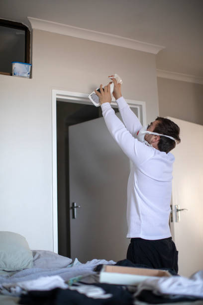 Mold Remediation for Vacation Homes in East St Louis, IL