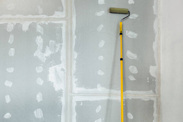 Best Dehumidification Services  in East St Louis, IL