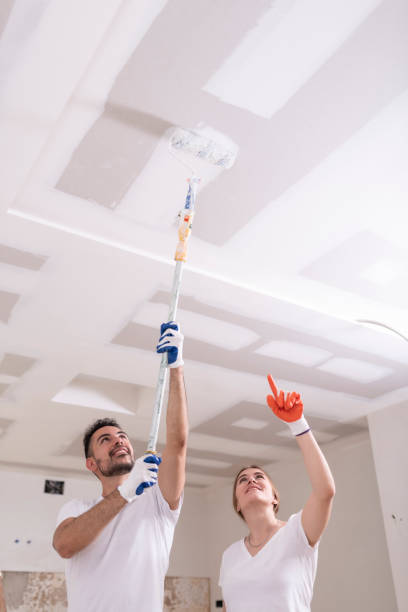 Best HVAC Mold Inspection and Cleaning  in East St Louis, IL