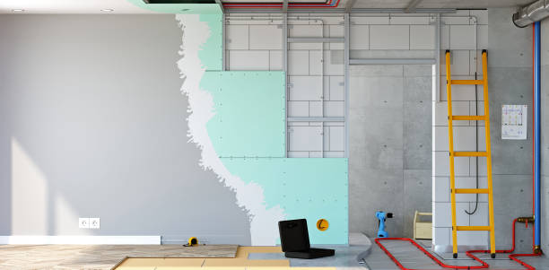 Best Water Damage & Mold Remediation  in East St Louis, IL