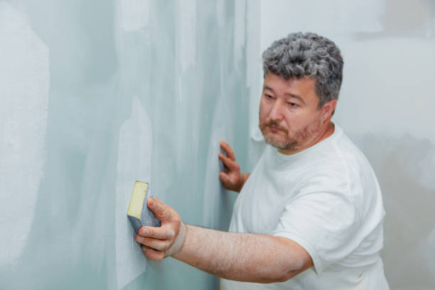 Best Black Mold Removal  in East St Louis, IL
